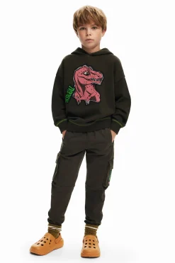 Dinosaur sweatshirt
