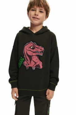 Dinosaur sweatshirt