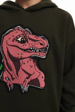 Dinosaur sweatshirt