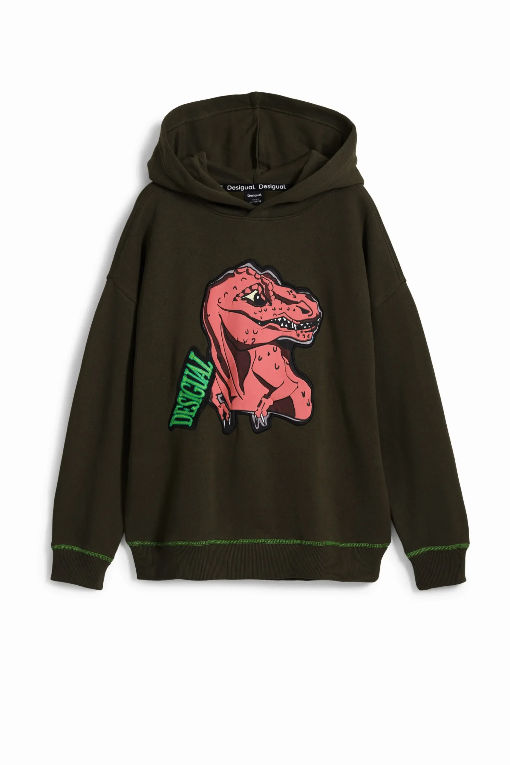 Dinosaur sweatshirt